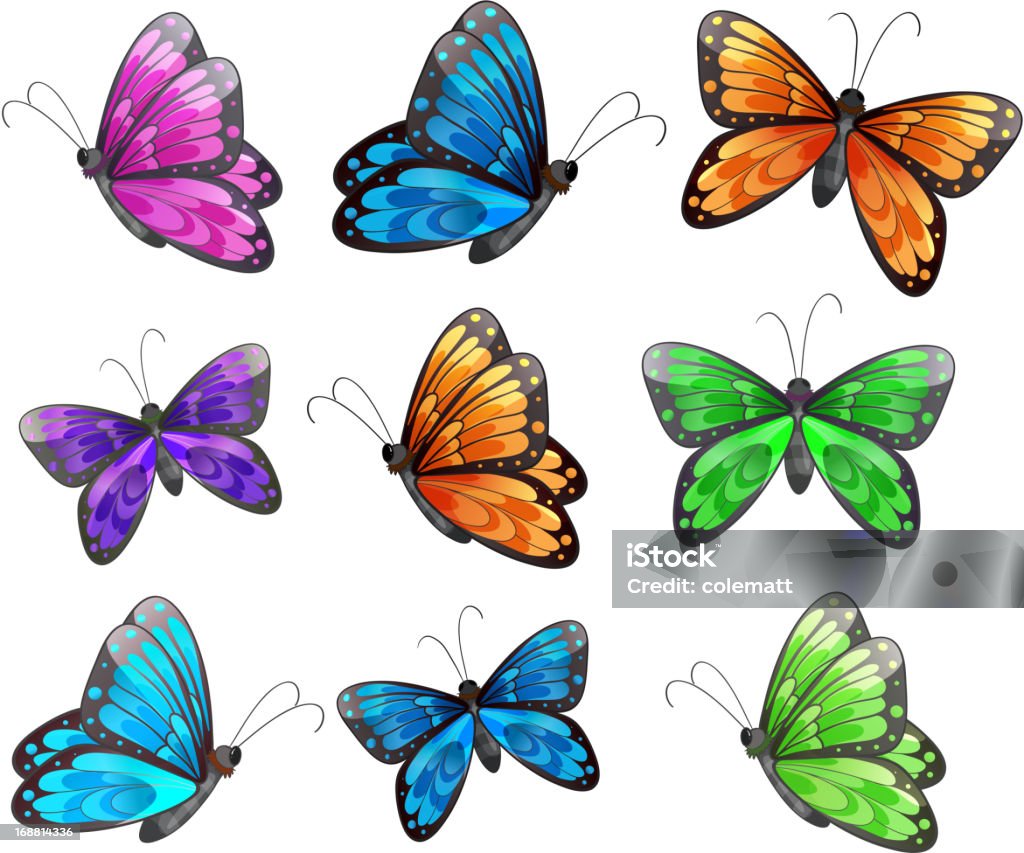 Nine colorful butterflies Nine colorful butterflies on a white background Butterfly - Insect stock vector