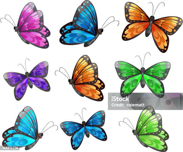 Nine Colorful Butterflies Stock Illustration - Download Image Now - Butterfly - Insect, Pink Color, Abdomen