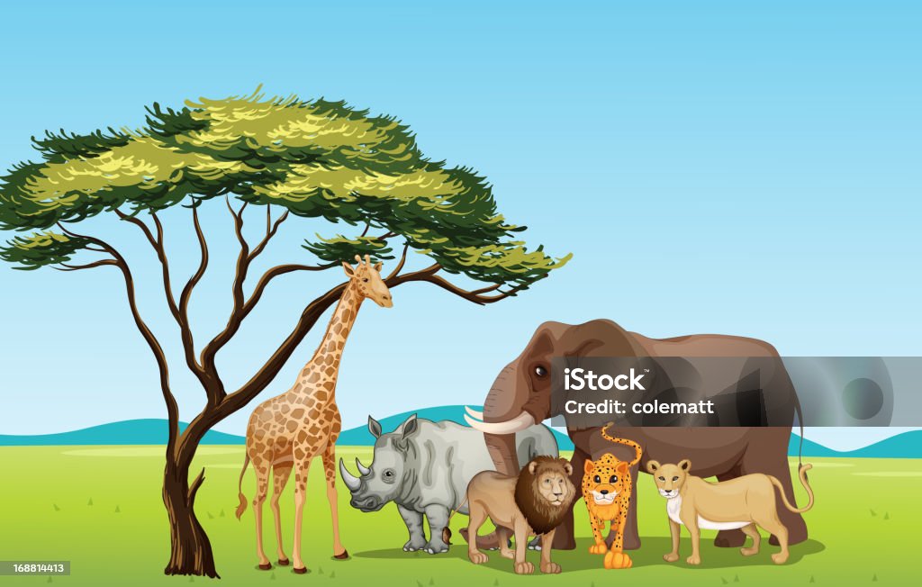 Afrikanische Tiere - Lizenzfrei Ebene Vektorgrafik