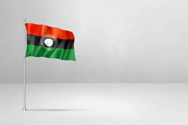Malawi flag, 3D illustration, isolated on white concrete wall background