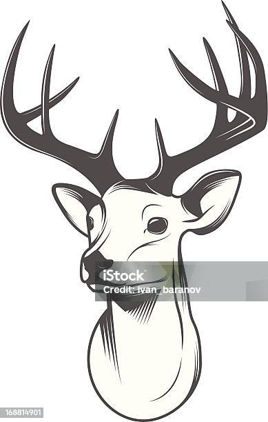 Deer Head Isolated On White Background Stock Illustration - Download Image Now - Deer, Antler, Sketch