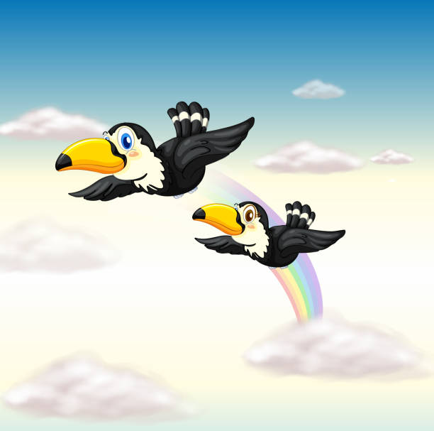 bird birds on a white background rainbow toucan stock illustrations