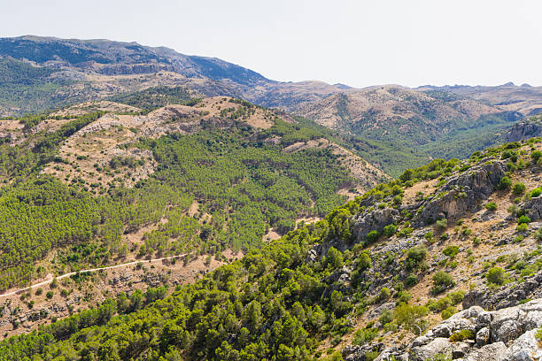 istock The Sierra de las Nieves natural park 168815194
