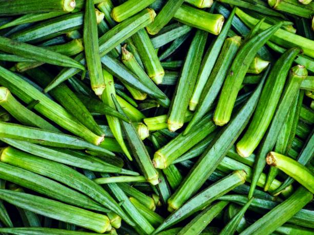 istock THE VEGETABLE, LADIES' FINGERS 1688161498