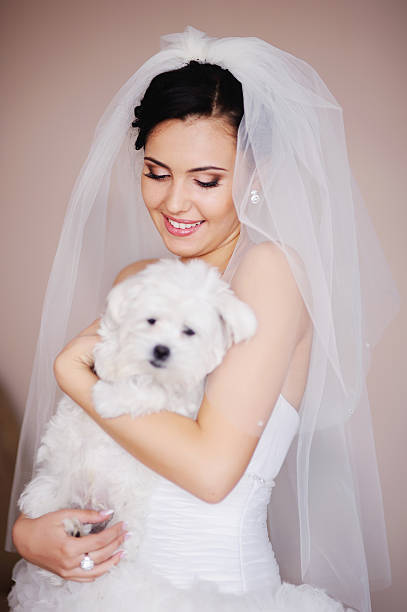 istock Beautiful Brunette Bride with small dog 168816714