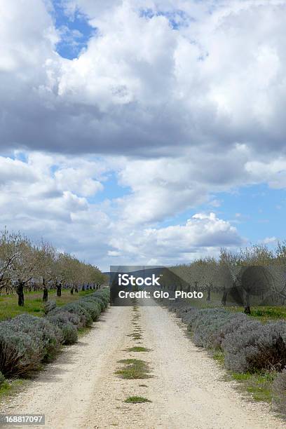 French Country Driveway Stock Photo - Download Image Now - Cloud - Sky, Country Road, Direction