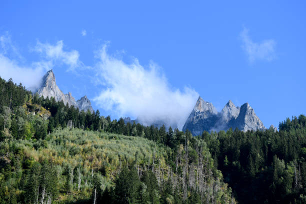 istock Summer mountain meadow panorama Alps 1688184336