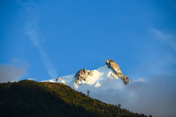 Summer mountain meadow panorama Alps