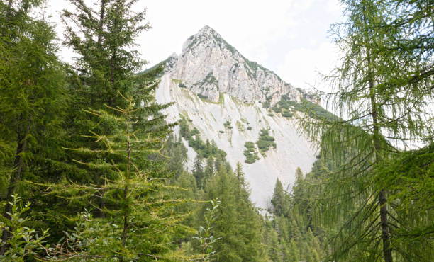 istock Old landslide in a dolomites wall 1688207962
