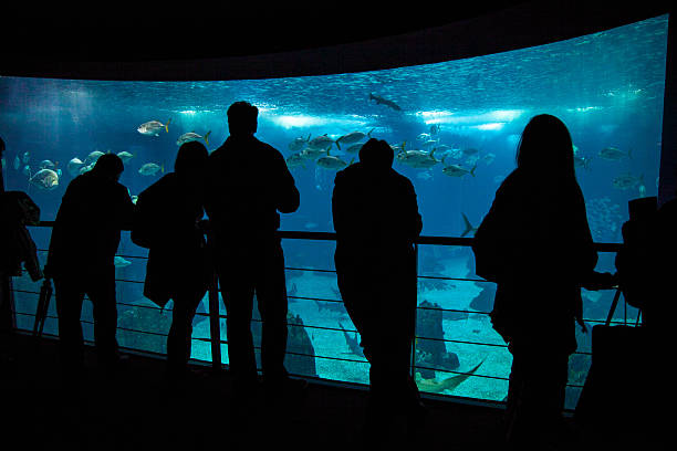 istock People admire fishes in aquarium 168821169