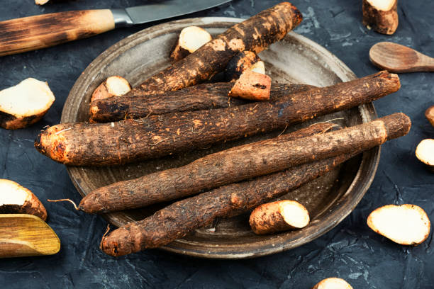 Raw salsify in herbal medicine, salsify roots. stock photo