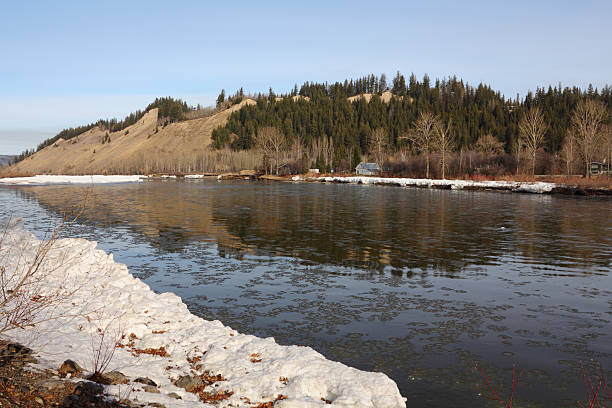 Nechako River Thaw, Prince George Ice flows down the Nechako River in Prince George, British Columbia during the spring thaw. prince george photos stock pictures, royalty-free photos & images
