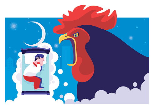 vector illustration of man coverings ears and sleeping in bed while rooster crowing