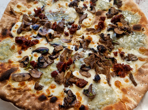 Thick crust Cheese, veggies with mushroom pizza
