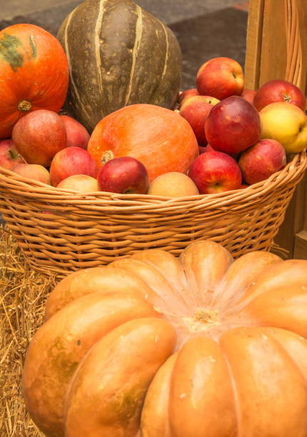 istock apples and pumpkins in a basket 1688250734