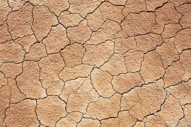 Cracked soil XXXL