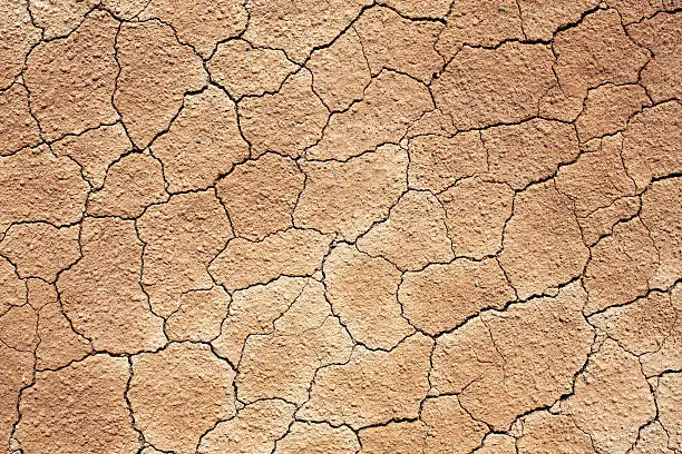 Photo of Cracked soil XXXL