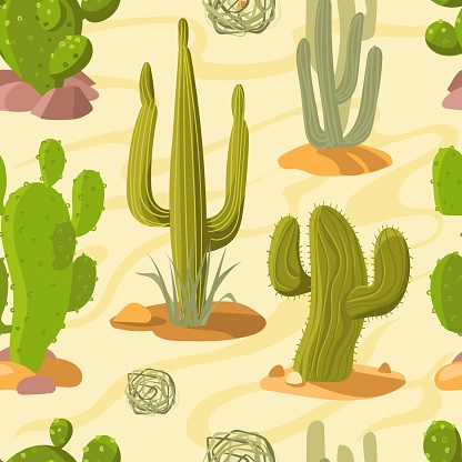 Cartoon desert cacti seamless pattern. Hot arid climate zone elements. Sand dunes and tumbleweeds. Prickly succulents. Cactaceae plants. Drought scenery. Sahara panorama. Splendid vector background