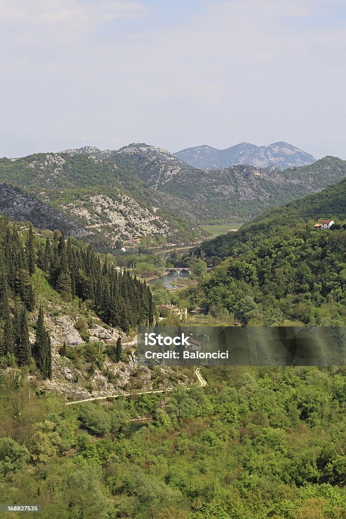 Rijeka Crnojevica - Foto de stock de Bosque - Floresta royalty-free