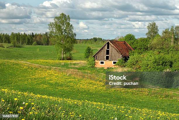 Photo libre de droit de Printemps Paysage Rural banque d'images et plus d'images libres de droit de Agriculture - Agriculture, Champ, Ciel