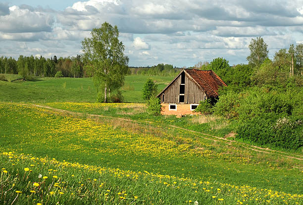 primavera paesaggio rurale - masuren foto e immagini stock