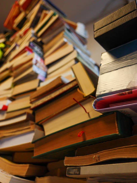 istock Pile of old books 1688280921