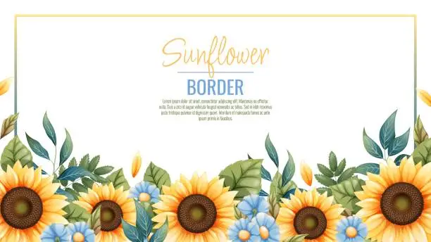 Vector illustration of Border template with sunflowers, blue daisies. Frame, banner with autumn wildflowers. Background with botanical elements