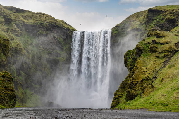 Iceland Skogafoss Waterfall Skoga River Fall Sudurland Skógafoss Iceland Majestic Skogafoss Waterfall under overcast cloudscape in summer. Falling water of the Skoga River. The Skógafoss Waterfall is one of the biggest waterfalls in Iceland, with a width of 25m and a drop of 60m. Landscape over the surrounding green natural hills and riverbed gravel. Skógar, Rangárþing eystra, Southern Iceland, Sudurland, Iceland, Nordic Countries, Europe skogafoss stock pictures, royalty-free photos & images