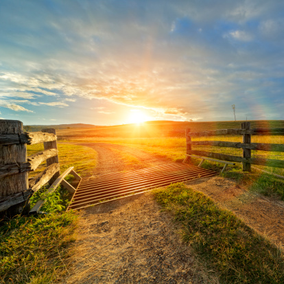 Gravel path onto rural property under golden sunset. 