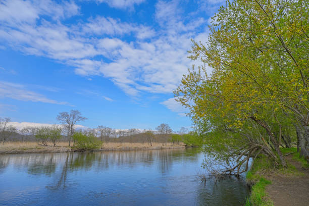 Kushiro wetland in Hokkaido