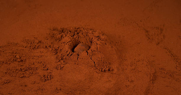istock Chocolate Truffle falling on Chocolate Powder 1688317172
