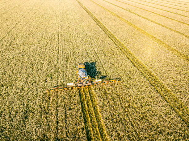 istock Agriculutural crops sprayer in a wheat field seen from above 1688322594