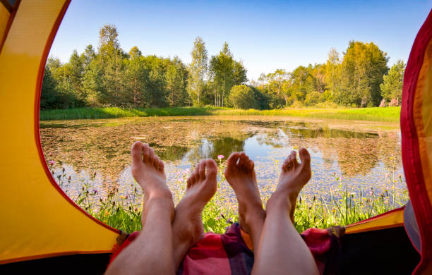 istock View of nature from a tent with tourists' fee 1688340985