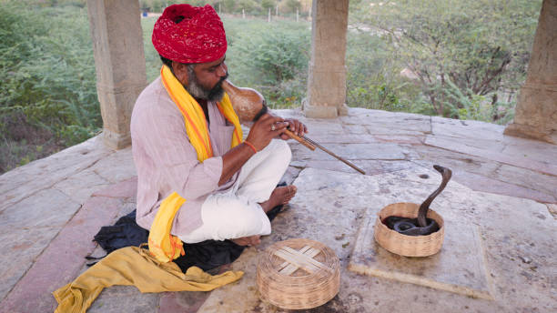 istock Indian snake charmer, Jaipur, Rajasthan 1688343793