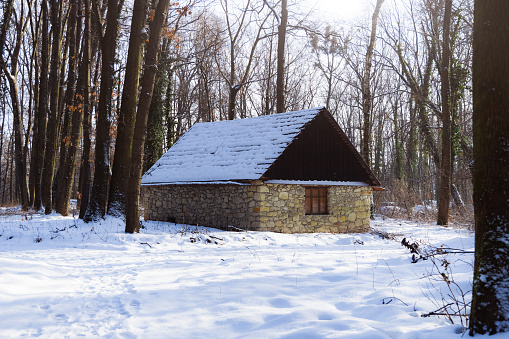 poor rustic stone house in woods winter snowy day time trees environment
