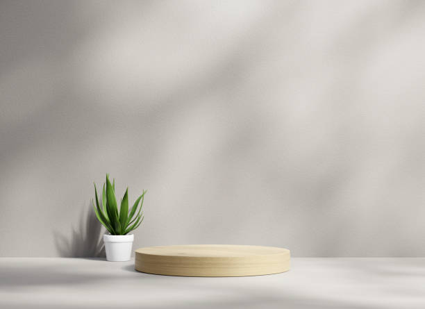 istock 3D rendering platform podium with plant product presentation background 1688372457