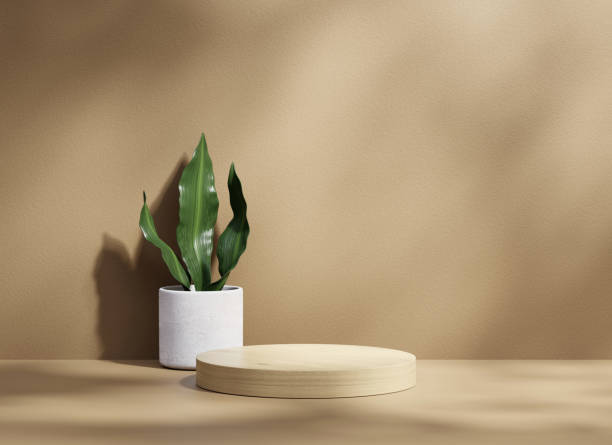 istock 3D rendering platform podium with plant product presentation background 1688372470