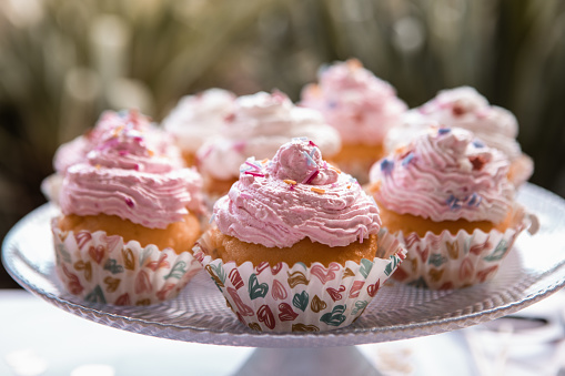 Tasty pink cupcakes with frosting