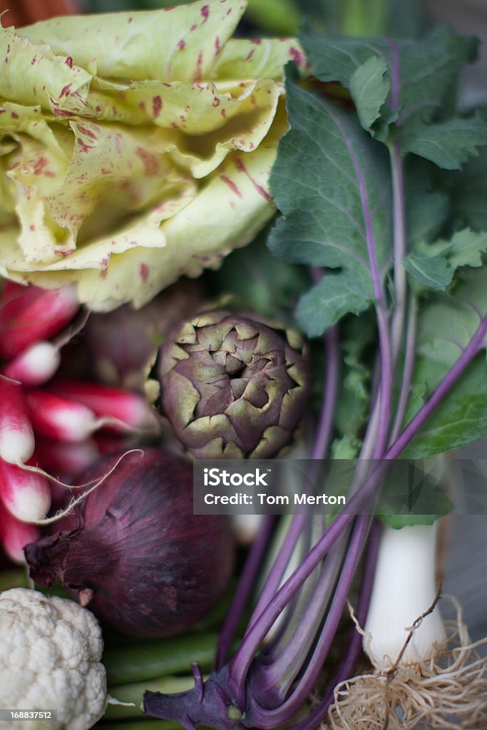 Gros plan de légumes de gamme - Photo de Aliment cru libre de droits