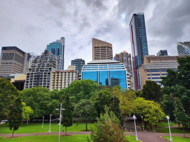 istock Empty walkways among trees and greenery in Sydney 1688393581