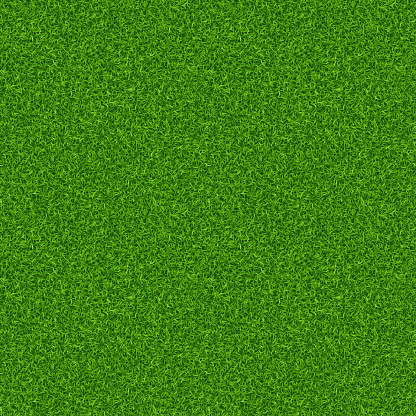 Lawn grass texture seamless texture. Vector illustration