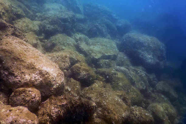 istock Sea Life Underwater Rocks Sunlight, Underwater Life 1688400508