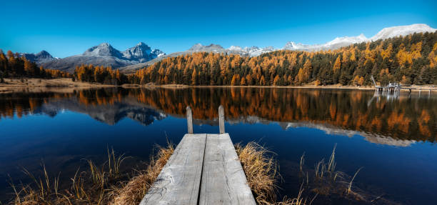 panorama of Staz Lake near St. Moritz in autumn with reflections panorama landscape of Staz Lake near St. Moritz in autumn with reflections samedan stock pictures, royalty-free photos & images