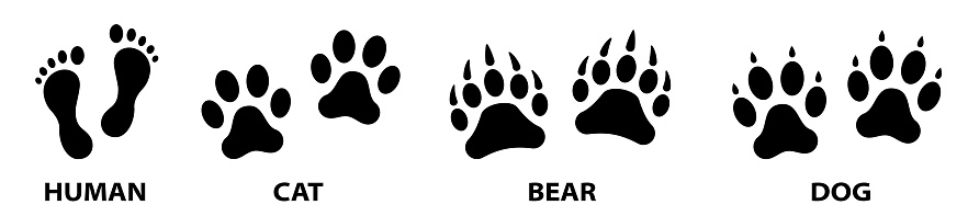 Paw prints. Human print. Bear paw print. Dog and cat paw print. Animals footprints. Vector illustrations