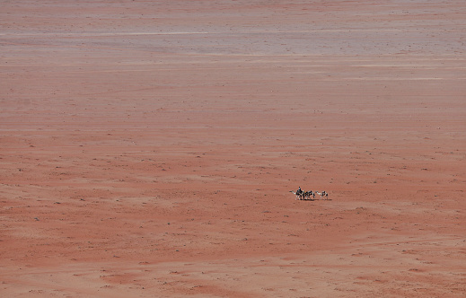 A Bedouin man journeys across the vast desert of Wadi Rum with his train of camels.