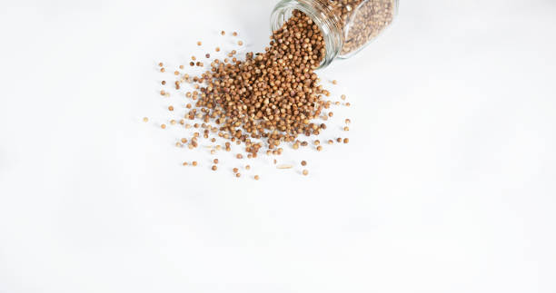 istock coriander, coriandrum sativum, seeds falling against White Background 1688431817