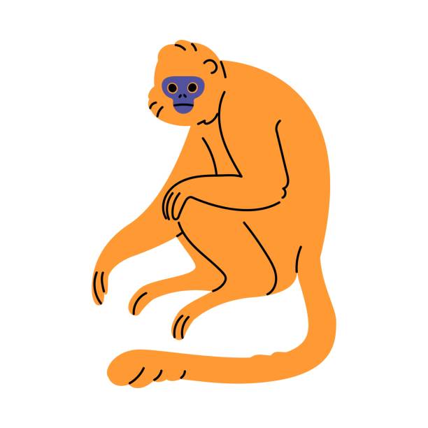 wildes dschungeltier. gibbon mit niedlicher schnauze sitzend, orangefarbene primatenruhe. regenwaldaffe, säugetier mit langem schwanz. flache isolierte vektorillustration auf weißem hintergrund - gibbon rainforest animal ape stock-grafiken, -clipart, -cartoons und -symbole