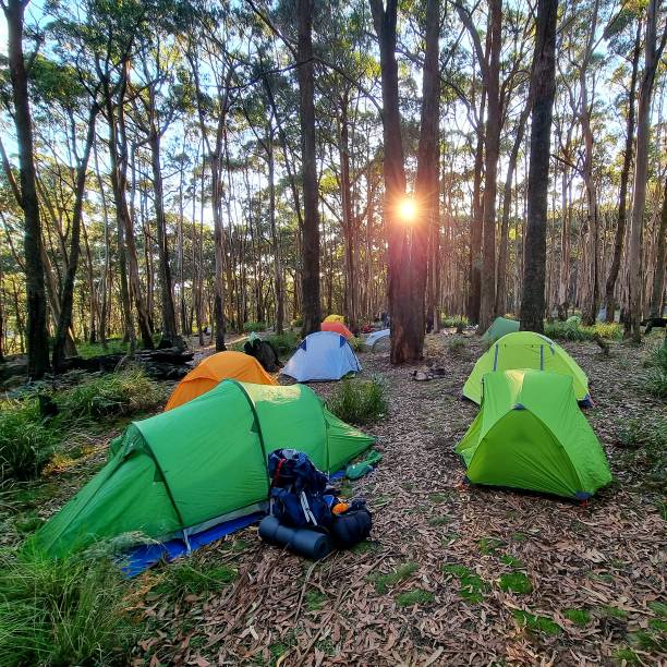 istock Campsite Bliss along the Berripmo Circuit 1688452701