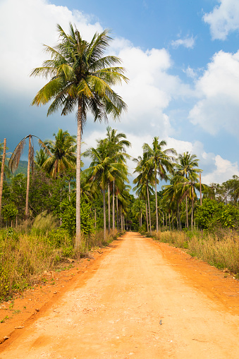 A dirt road winds through a palm-fringed landscape on the island of Koh Chang, in the Gulf of Thailand, Trat province, Southeast Asia.