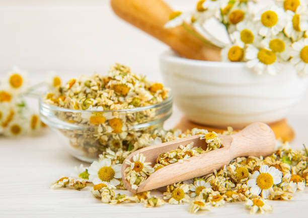 istock Dried chamomile tea in a bowl on a texture table.dry chamomile. Chamomile tea. flat lay. Composition with a bouquet and chamomile inflorescences in a mortar. Herbal drink. Soothing and tonic tea. 1688462896